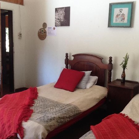 Dijembe Backpackers Lodge ستورمزريفير المظهر الخارجي الصورة