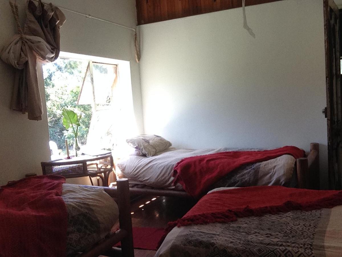 Dijembe Backpackers Lodge ستورمزريفير المظهر الخارجي الصورة