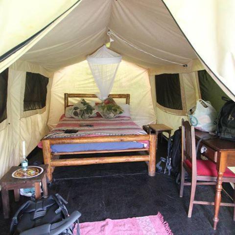 Dijembe Backpackers Lodge ستورمزريفير المظهر الخارجي الصورة