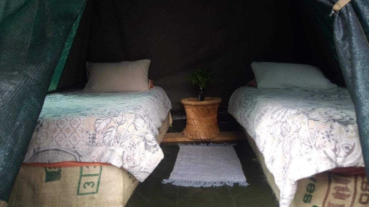 Dijembe Backpackers Lodge ستورمزريفير المظهر الخارجي الصورة